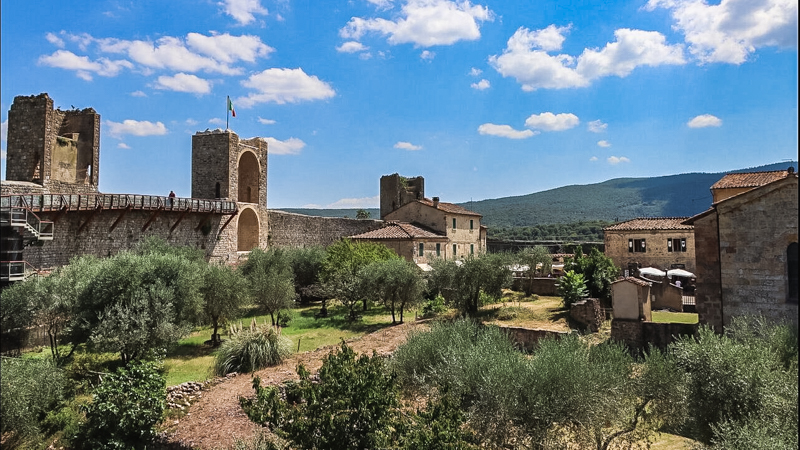 Una vista sui verdi campi coltivati all'interno di Monteriggioni con i tanti ulivi. Sullo sfondo tre torrioni difensivi del castello con le antiche mura su cui passa il camminamento da percorrere.