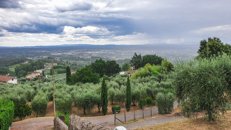Una vista meravigliosa su tutta la piana sottostante a Montecarlo di Lucca con i suoi verdi alberi e soprattutto vitigni e ulivi. Sullo sfondo si intravedono delle alte montagne.