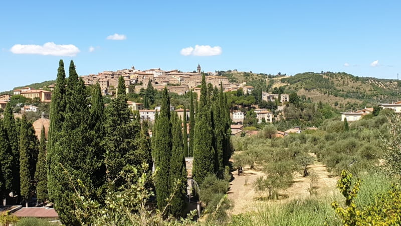 una vista panoramica del paese di seggiano che è in lontananza adagiato su un colle verde e in primo piano le colline verdi coltivate con olivi grandi alberi