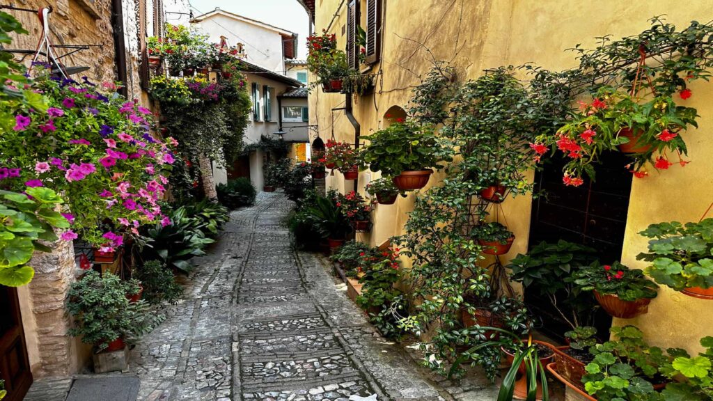 Vicolo fiorito nel centro storico con case in pietra e balconi decorati, immagine che rappresenta perfettamente cosa vedere a Spello.